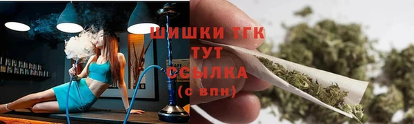 дмт Горнозаводск