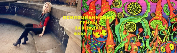 дмт Горнозаводск